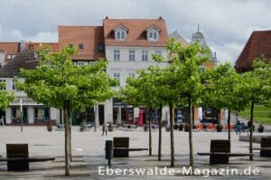 Mehr über den Artikel erfahren Stadt Eberswalde – die Waldstadt mit viel Natur, industrieller Geschichte und morderner Kultur