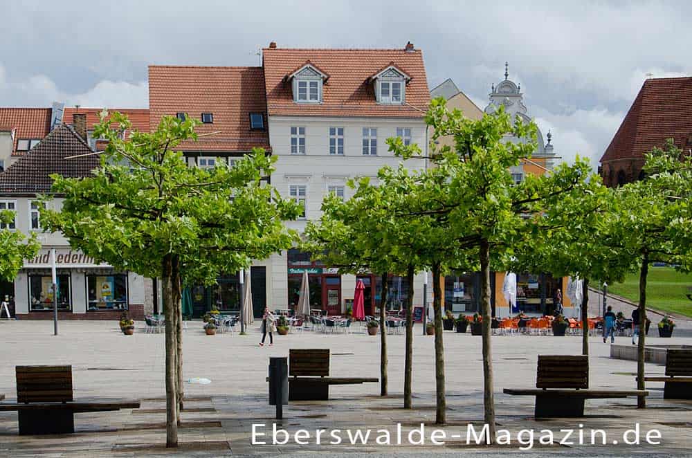 Du betrachtest gerade Stadt Eberswalde – die Waldstadt mit viel Natur, industrieller Geschichte und morderner Kultur