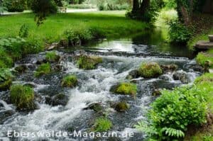 Mehr über den Artikel erfahren Wasserfall Eberswalde – ein Naturerlebnis trifft auf Kunst und Geschichte