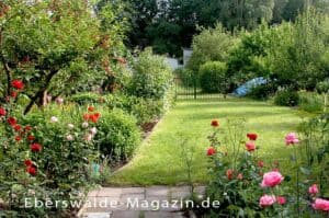 Mehr über den Artikel erfahren Kleingartenanlagen in Eberswalde