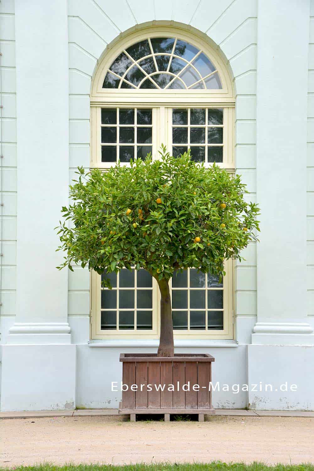 Orangerie im Schlosspark vom Oranienburger Schloss