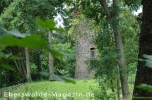 Mehr über den Artikel erfahren Askanierturm in Wildau am Werbellinsee