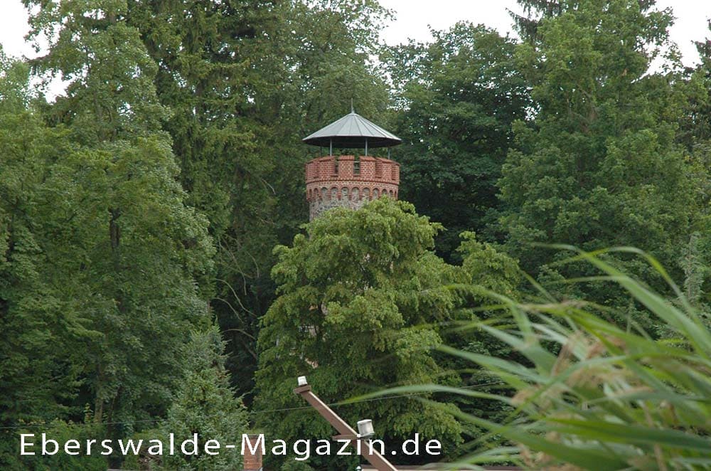 Ein Blick von Boot auf den Askanierturm 